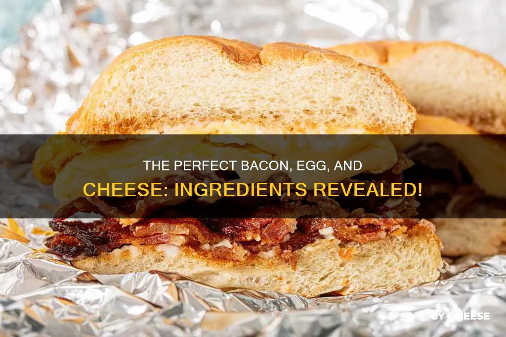 what goes on a bacon egg and cheese