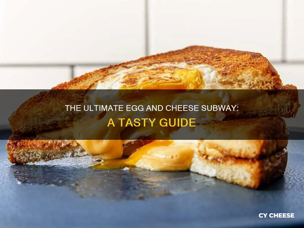 what goes on a subway egg and cheese