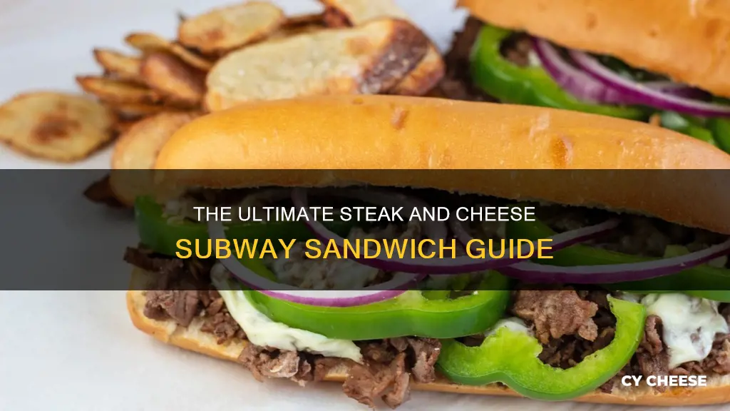 what goes on a subway steak and cheese