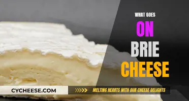 Brie Cheese: What's in it and Why it Matters