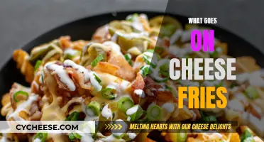 Cheese Fries: Toppings and Sides to Try