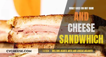 Hot Ham and Cheese: The Ultimate Melty Comfort