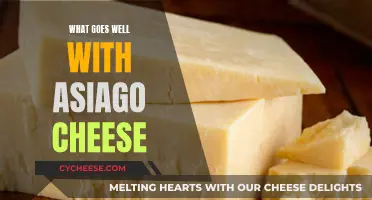 A Hearty Meal Companion: Asiago Cheese's Perfect Pairings