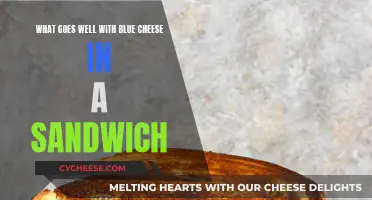 Blue Cheese Sandwich: Perfect Pairing Ideas for Your Palate