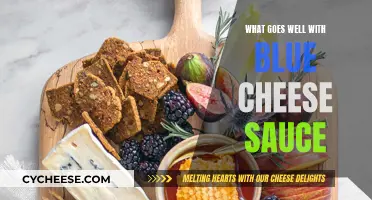 Blue Cheese Sauce: Perfect Pairing Ideas for Your Palate