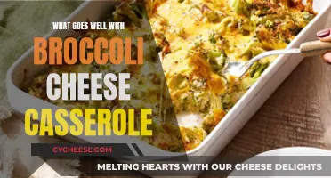 Delicious Pairings to Serve with Broccoli Cheese Casserole