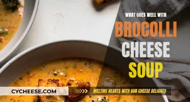 Delicious Pairings to Elevate Broccoli Cheese Soup