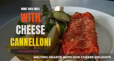 Cheese Cannelloni Companions: Perfect Pairings for a Hearty Dish