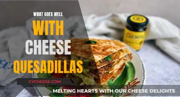 Cheese Quesadillas: Perfect Pairing Ideas for a Flavorful Feast