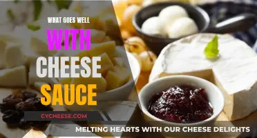 Cheese Sauce Companions: Exploring Perfect Flavor Pairings