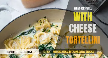 Delicious Pairings for Cheese Tortellini: Exploring Perfect Culinary Partners