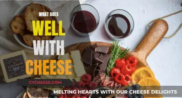 Delicious Food Pairings: The Perfect Companions for Cheese