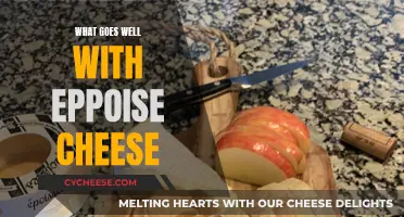 The Perfect Pairings for Epoisses Cheese on Your Table