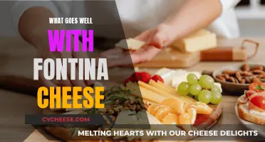 Fontina Cheese: Perfect Pairings for a Rich, Buttery Flavor