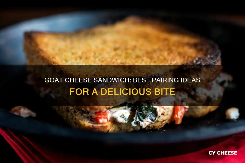 what goes well with goat cheese sandwich