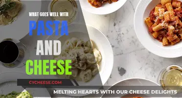 Cheese and Pasta: The Perfect Pairing Ideas