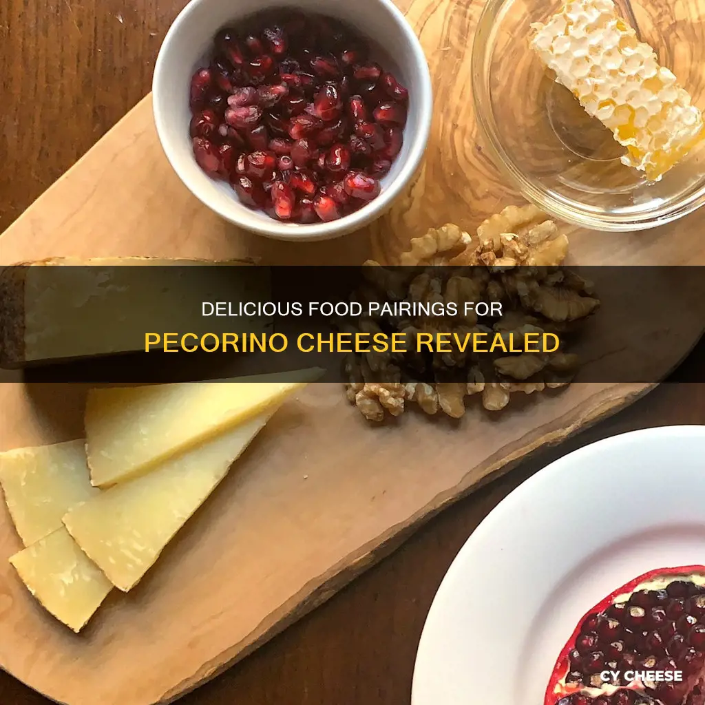 what goes well with pecorino cheese