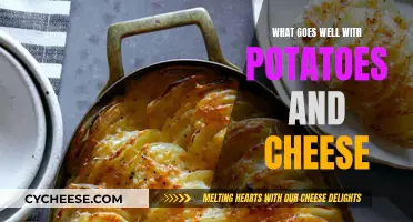 Cheesy Potato Delights: Perfect Pairing Ideas for Your Next Meal