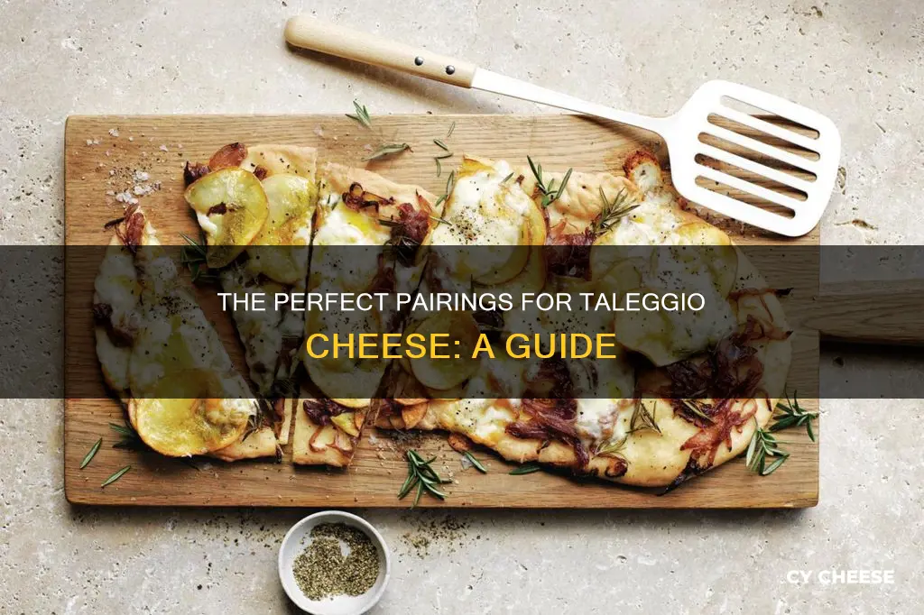 what goes well with taleggio cheese