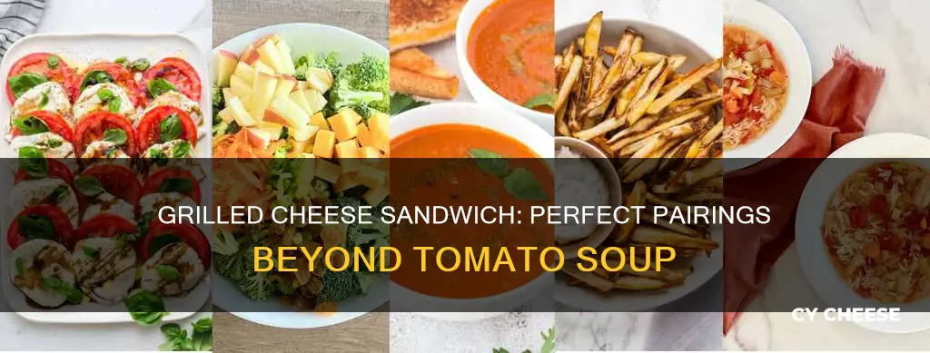 what goes with a grilled cheese sandwich besides tomato soup