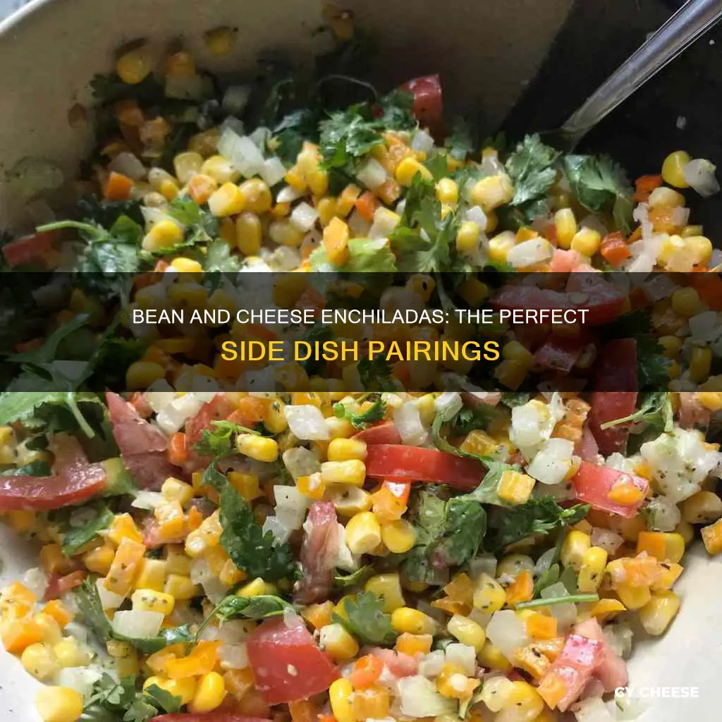 what goes with bean and cheese enchiladas besides rice