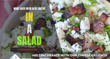 Blue Cheese Salad: Perfect Pairing Ideas and Recipes