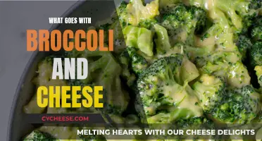 Creative Combinations: Broccoli, Cheese, and Perfect Partners