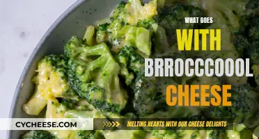 Creative Pairings for Broccoli Cheese Dishes: Delicious Ideas