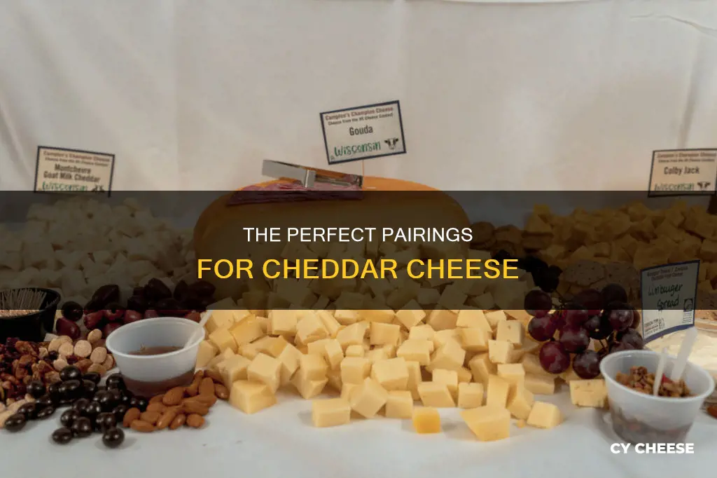 what goes with cheddar cheese