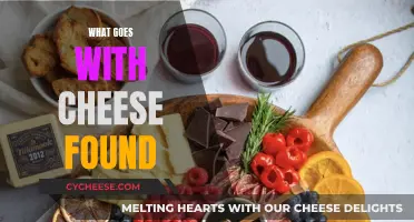 Cheese Fondue: A Tasty Adventure for Your Taste Buds