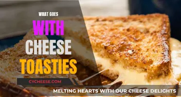 Cheese Toasty Bliss: Perfect Pairing Ideas