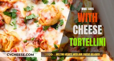 Cheese Tortellini: Perfect Pairing Ideas for Foodies