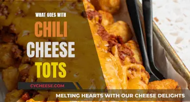 Cheesy, Spicy Comfort: Perfect Partners for Chili Cheese Tots