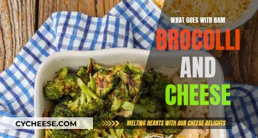 Delicious Ham, Broccoli, and Cheese: Perfect Pairing Ideas