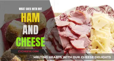 Hot Ham and Cheese: The Perfect Pairing Ideas