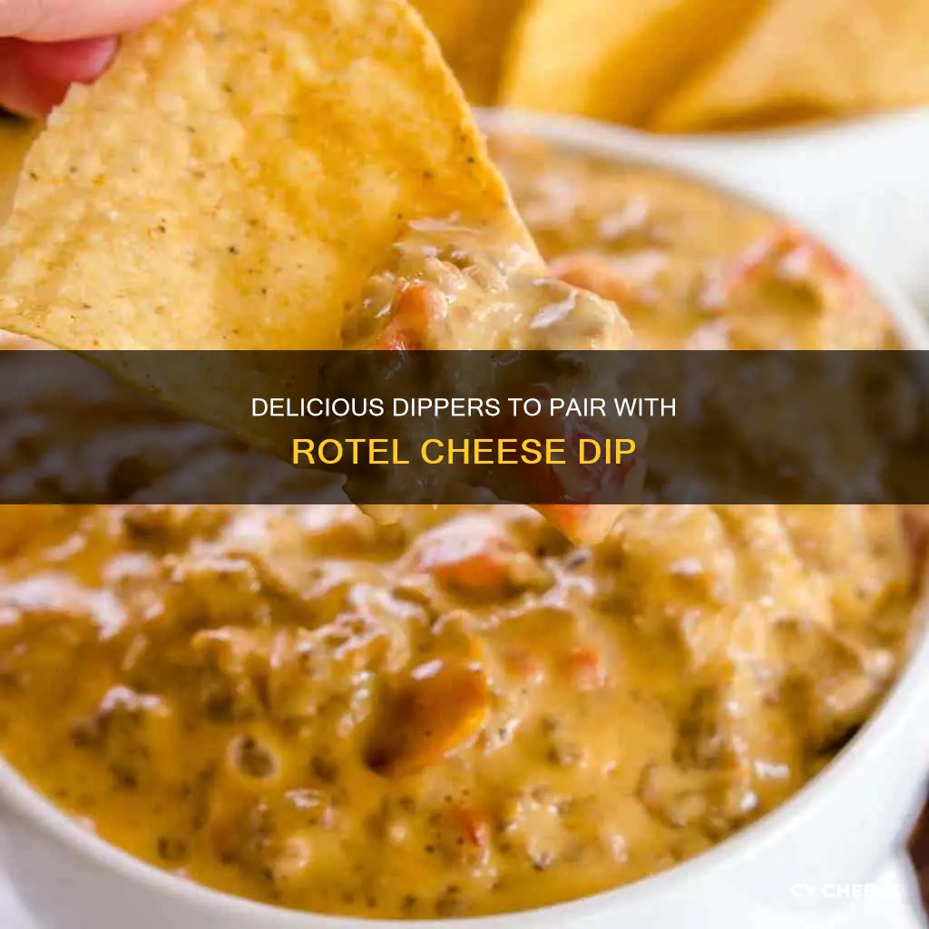 what goes with rotel cheese dip