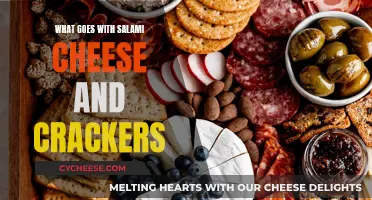 Delicious Pairings: Salami, Cheese, and Crackers Combos