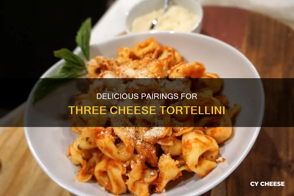 what goes with three cheese tortellini