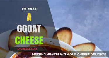 Why Goat Cheese is a Game-Changer for Your Culinary Creations