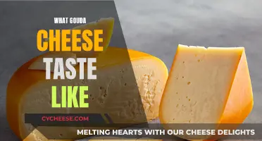 A Taste of Gouda: Creamy, Nutty, and Slightly Sweet