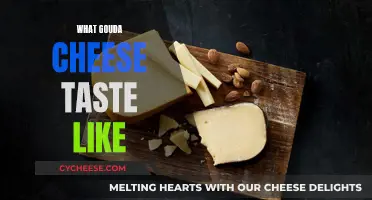 Gouda Cheese: A Buttery, Savory Taste Experience