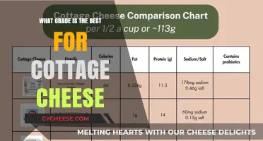 Choosing the Perfect Cottage Cheese Grade for Your Culinary Needs