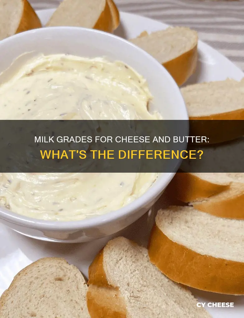 what grade milk is used to make cheese and butter