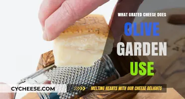 Olive Garden's Grated Cheese: What's the Secret?