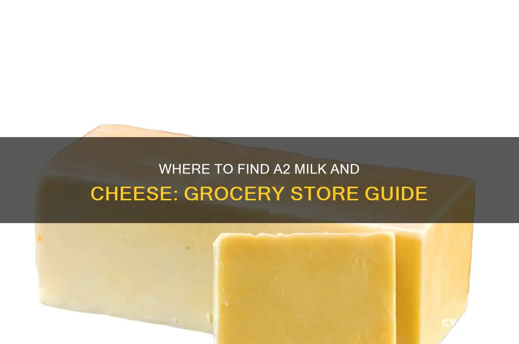 what grocery stores sell a2 milk and cheese