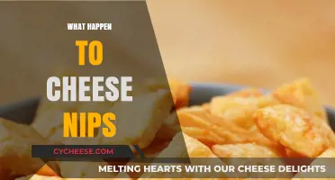Whatever Happened to Cheese Nips? A Snack's Disappearance Explained