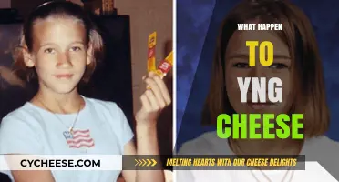 The Mysterious Disappearance of Yng Cheese: What Really Happened?