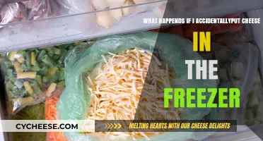 Accidentally Froze Cheese? What Happens and How to Fix It