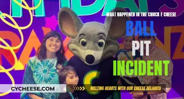 Chuck E. Cheese Ball Pit Incident: What Really Happened?