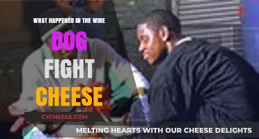 The Wire's Dog Fight Cheese Scene: Unraveling the Shocking Truth